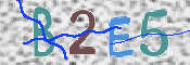 Image Anti-spam
