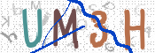Image Anti-spam